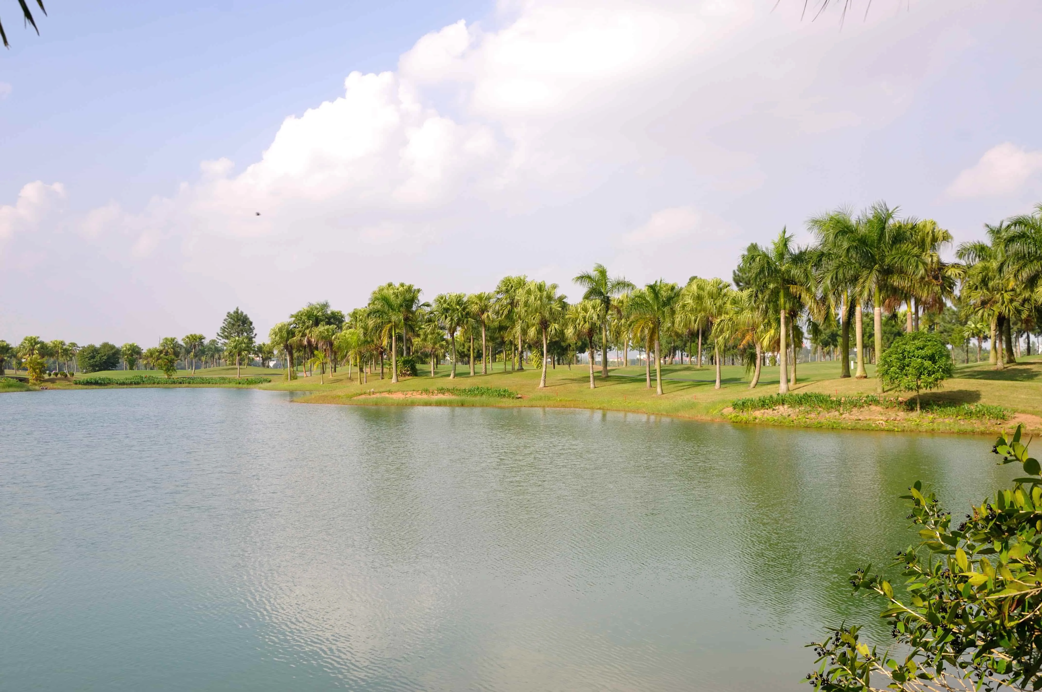 Đầm Vạc 高尔夫球场 (Heron Lake Golf Course) Vĩnh Phúc – 湖泊系统环绕各球洞，距离河内 45 分钟