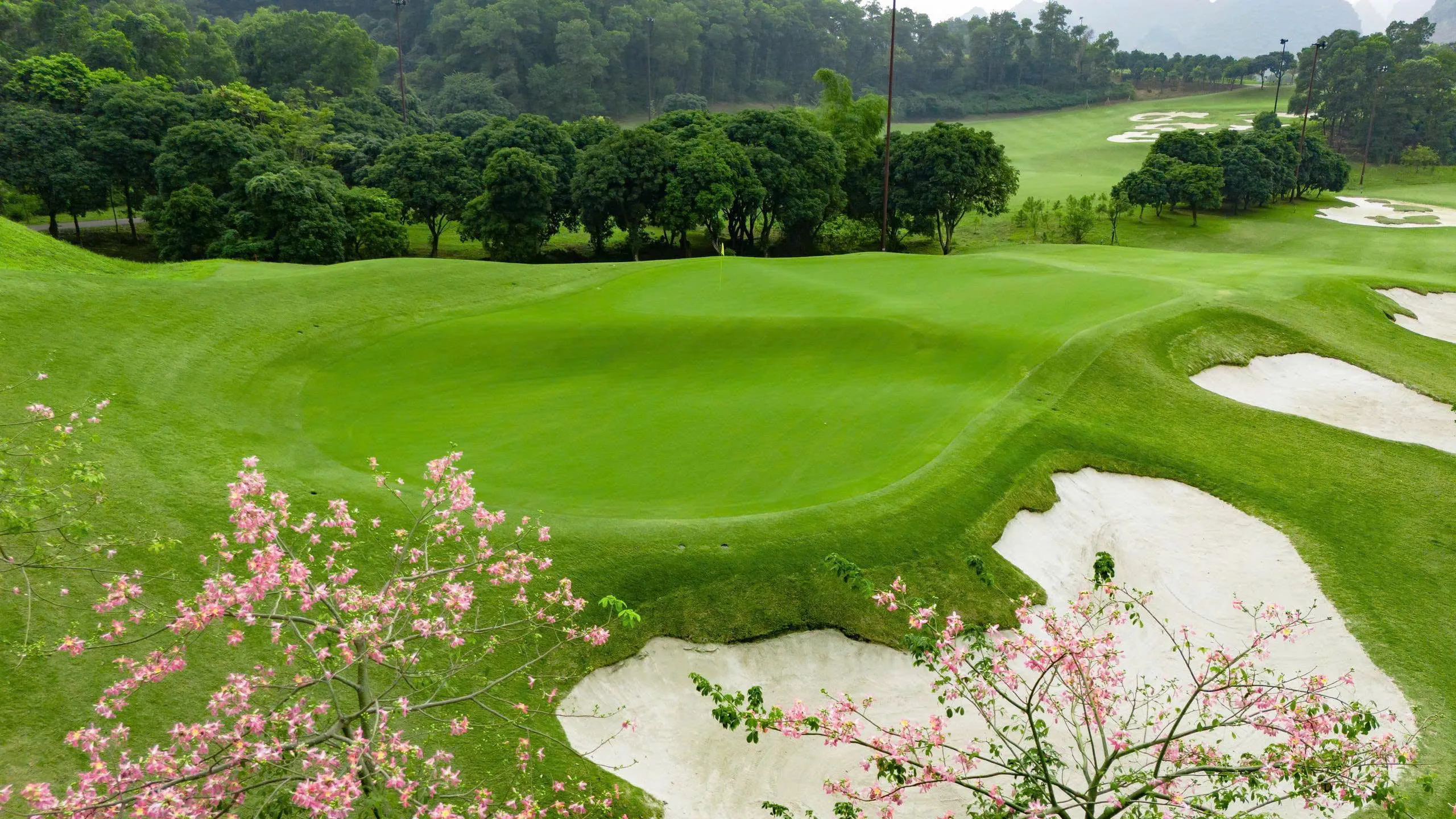 Hanoi - Hai Phong - Ninh Binh Golf Tour